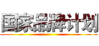 国家品牌计划 ()