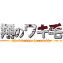 翔のワキ毛 (final wakige harumaki)