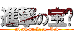 進撃の宝贝 (attack on Leon  Yak)