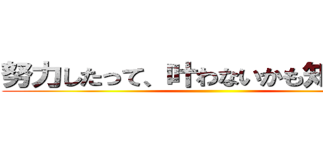 努力したって、叶わないかも知れない。 ()