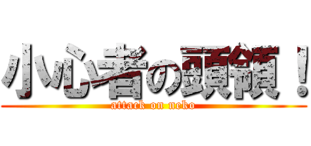 小心者の頭領！ (attack on neko)