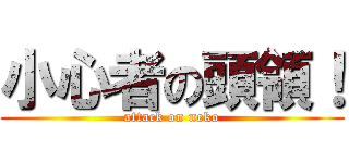 小心者の頭領！ (attack on neko)