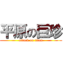 平原の巨珍 (attack on titan)