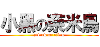 小黑の奈米鳥 (attack on titan)