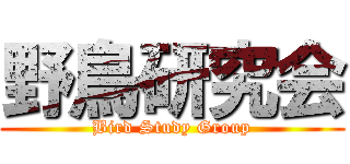 野鳥研究会 (Bird Study Group)