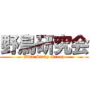 野鳥研究会 (Bird Study Group)