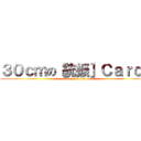 ３０ｃｍの［統振］Ｃａｒｏｌ (attack on titan)