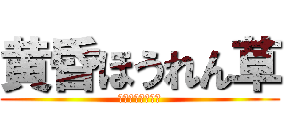 黄昏ほうれん草 (意味がわからない)
