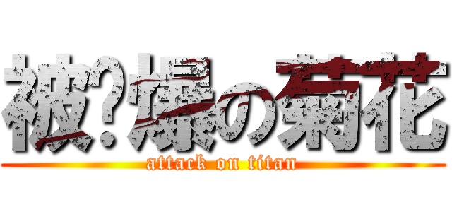被捅爆の菊花 (attack on titan)