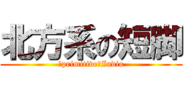 北方系の短脚 (　primitive　Indio)