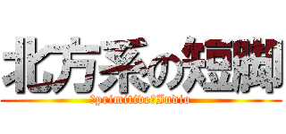 北方系の短脚 (　primitive　Indio)