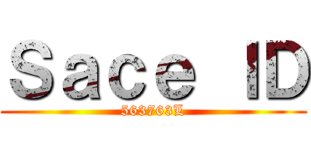 Ｓａｃｅ ＩＤ (563763L)