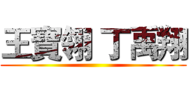 王寶翎 丁禹翔 ()
