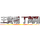 王寶翎 丁禹翔 ()