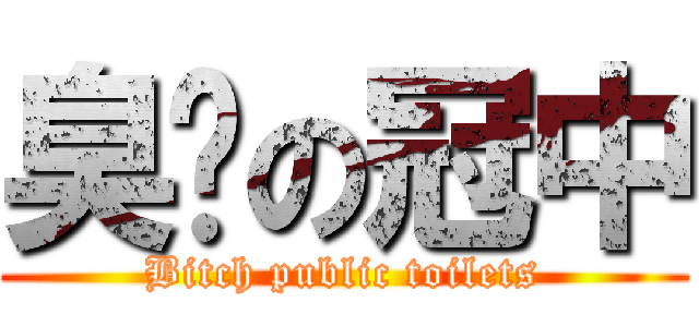 臭婊の冠中 (Bitch public toilets)