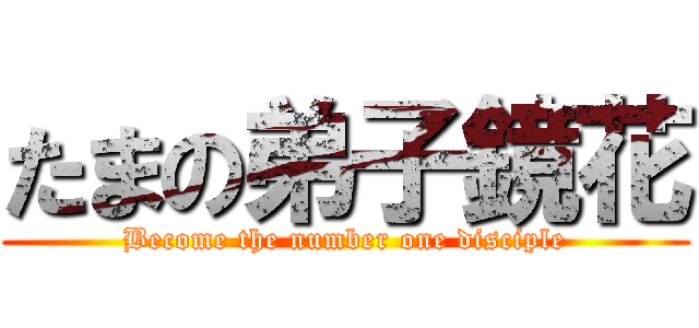 たまの弟子鏡花 (Become the number one disciple)