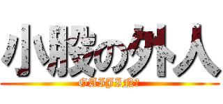 小股の外人 (GAIJIN?)