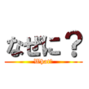 なぜに？ (What?)