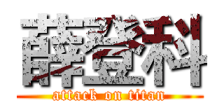 薛登科 (attack on titan)