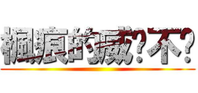 楓痕的威懂不懂 ()