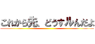 これから先、どうすルんだよ ()