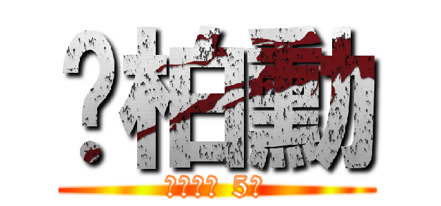 黃柏勳 (成大男排 5號)