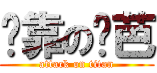 挖靠の姬芭 (attack on titan)