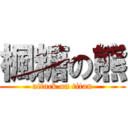 楓糖の熊 (attack on titan)