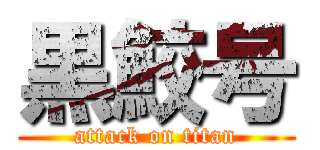 黒鮫号 (attack on titan)