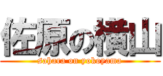 佐原の横山 (sahara on yokoyama)