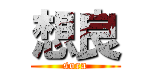 想良 (sora)
