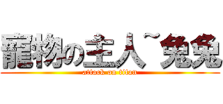 寵物の主人~兔兔 (attack on titan)