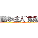 寵物の主人~兔兔 (attack on titan)