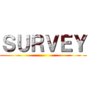 ＳＵＲＶＥＹ ()