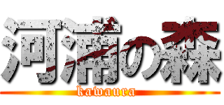 河浦の森 (kawaura )