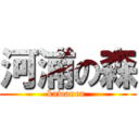 河浦の森 (kawaura )