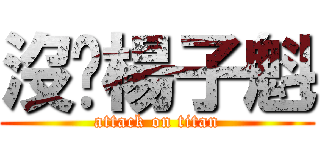 沒雞楊子魁 (attack on titan)