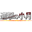 進撃の小月 (attack on Cynthia)