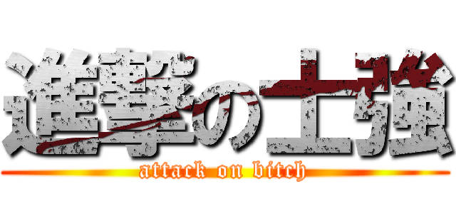 進撃の士強 (attack on bitch)
