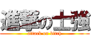 進撃の士強 (attack on bitch)