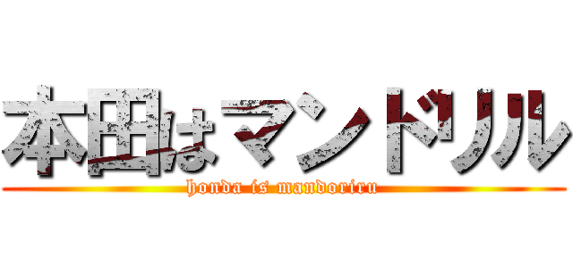本田はマンドリル (honda is mandoriru)