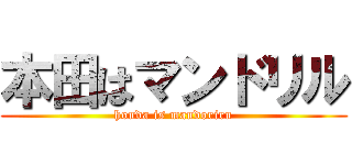 本田はマンドリル (honda is mandoriru)