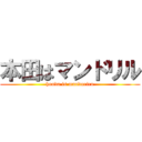 本田はマンドリル (honda is mandoriru)