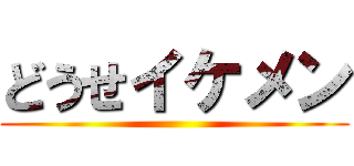 どうせイケメン ()