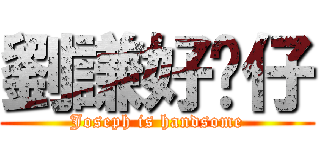 劉謙好靓仔 (Joseph is handsome)