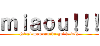 ｍｉａｏｕ！！！ ((c\'est mon cousin qui le dit))