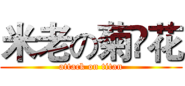 米老の菊҉花 (attack on titan)