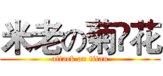 米老の菊҉花 (attack on titan)