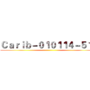 Ｃａｒｉｂ－０１０１１４－５１３ ()