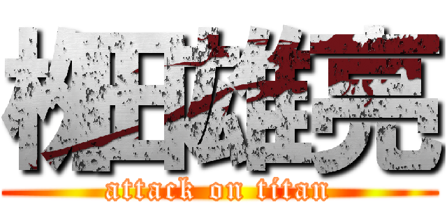 栁田雄亮 (attack on titan)